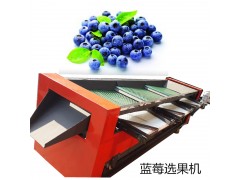 蓝莓选果分级机不伤果粉图2