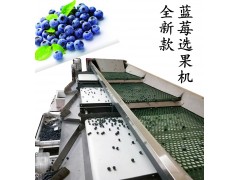 无损伤蓝莓分选装盒机厂家直销图2