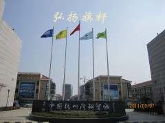 亳州国旗杆-蒙城不锈钢旗杆-利辛红旗杆-涡阳旗杆报价图2