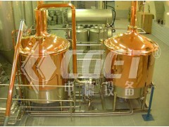 精酿啤酒设备图2