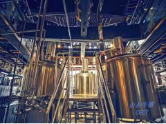 1000升小型啤酒设备「25年经验」品牌：山东中德图3