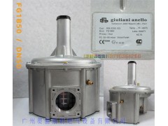 意大利进口FG1B50朱丽安尼减压阀图2