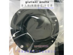 意大利朱丽安尼ST4B40减压阀，ST4B50图3