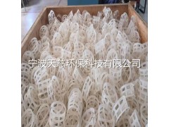 鲍尔环图2