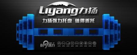 重庆力扬工贸有限公司