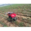 大姜施肥机厂|神农农业机械提供好的培土施肥机
