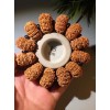 尼泊尔十三瓣大金刚低价甩卖-北京优质的尼泊尔十三瓣大金刚饰品