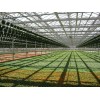 生态园艺温室造价-山东超值的温室大棚