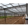 大棚材料多少钱-潍坊大棚材料厂家