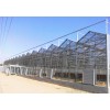 阳光板温室大棚-哪里有提供称心的阳光板温室