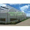 连栋温室建造-山东实用的日光温室