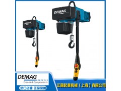 德马格电动葫芦_250kg德马格电动葫芦带轨道图2