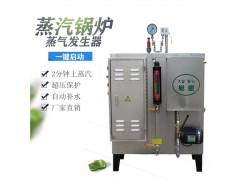 旭恩生物质蒸汽发生器图2