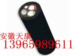 船用电缆船用橡套软电缆天康生产/CEFR,CEF80SA图2