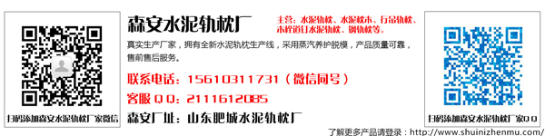 王瑞芹600