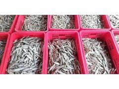 江门市乔丰塑胶卡板，江门塑料周转箱图3