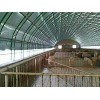 上海种植大棚设计|盛赛温室|设计制作双拱养殖棚