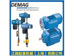 DEMAG德马格电动葫芦0.5t_德马格电动葫芦风电专用图3