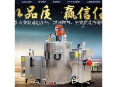 全自动节能燃气蒸汽发生器供应商图2