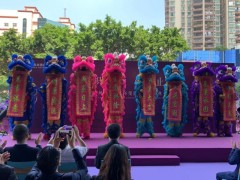 深圳舞狮队|梅花桩舞狮队|舞龙队|图3