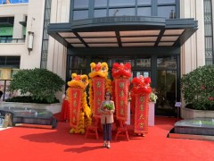 舞狮表演|梅花桩舞狮表演|舞龙表演|舞狮队表演图2