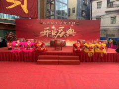 舞狮表演|梅花桩舞狮表演|舞龙表演|舞狮队表演图3