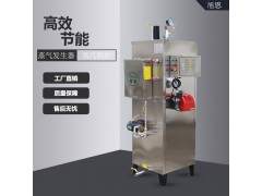 旭恩节能全自动燃气蒸汽发生器供应商图2