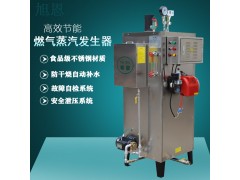 旭恩9-108kw天然气蒸汽发生器供应商图2