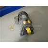 ZH18-100W-15S齿轮减速电机,马达减速器