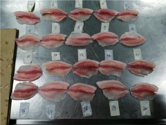 专业验货服务，专业验货公司,第三方验货公司图3