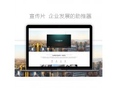 企事业形象宣传片拍摄与制作图2