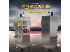 全自动蒸汽发生器的原理附加了压力和水位的全自动控制图2