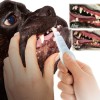 新型宠物用品狗用洁牙擦牙齿清洁护理宠物洁牙擦