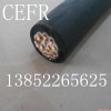 江苏厂家供应CEFR/DACEFR/SA船用电缆