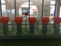 鸥美母猪自由采食器图2