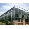 专业建造阳光板温室玻璃温室厂家直销