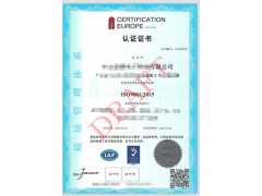 境外ISO9001认证-ISO质量体系认证图3