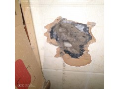 埋地管道漏水检测、供水管网探漏、管道维修图3