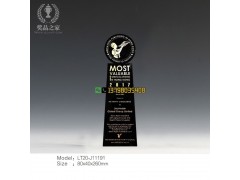 公司十周年员工奖杯，公司最佳敬业奖杯，服务之星水晶奖杯图3