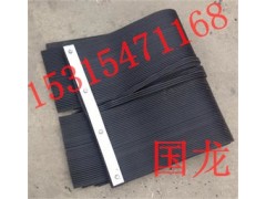 250*6mm挡尘帘,导料槽挡尘帘,防尘帘图2