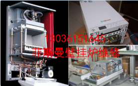 武汉菲斯曼维修