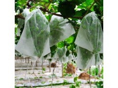 包花布，水果套袋，园艺用无纺布，农业用无纺布，家纺用无纺布图3