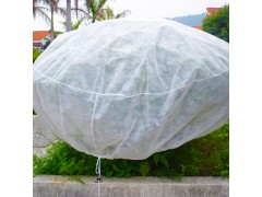 除草布，农业防寒覆盖布、农用防草无纺布地膜图3