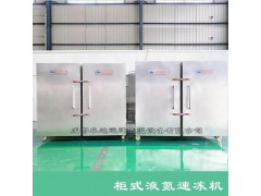 柜式液氮速冻机图2