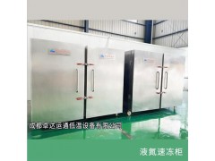 柜式液氮速冻机图3