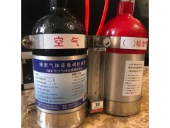 Xjj-1甲烷传感器用校验仪图2