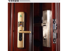 王力防盗门门锁更换王力C级锁王力防盗门指纹密码锁电子锁图3