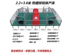 产床产保一体猪用产床母猪产床分娩栏双体产床图2