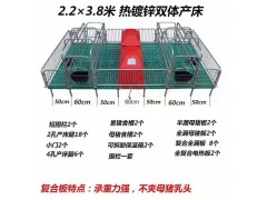 产床产保一体猪用产床母猪产床分娩栏双体产床图3