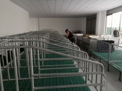 加厚母猪定位栏猪用限位栏母猪围栏猪栏设备猪床定位栏图3
